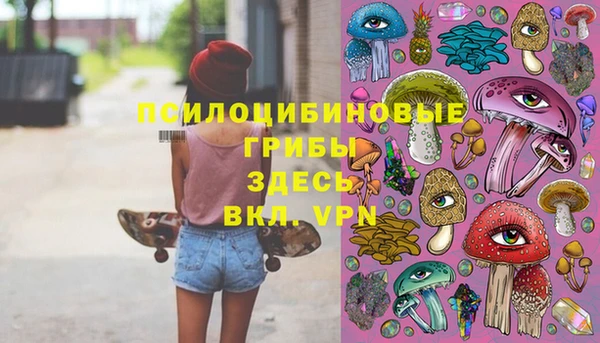 твердый Балабаново