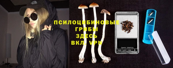 дживик Балахна