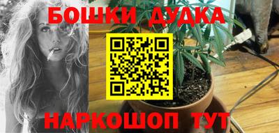 spice Кингисепп