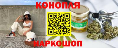 spice Кингисепп