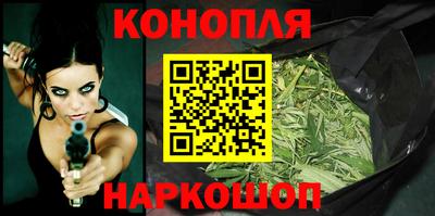 spice Кингисепп