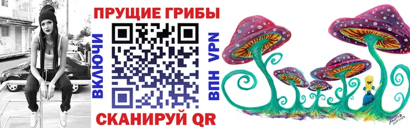 дарк нет наркотические препараты  Сегежа  Псилоцибиновые грибы мицелий  продажа наркотиков 