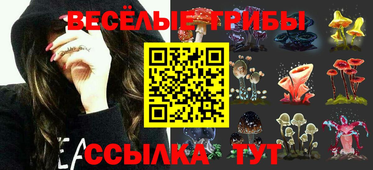Галлюциногенные грибы Psilocybe Сегежа