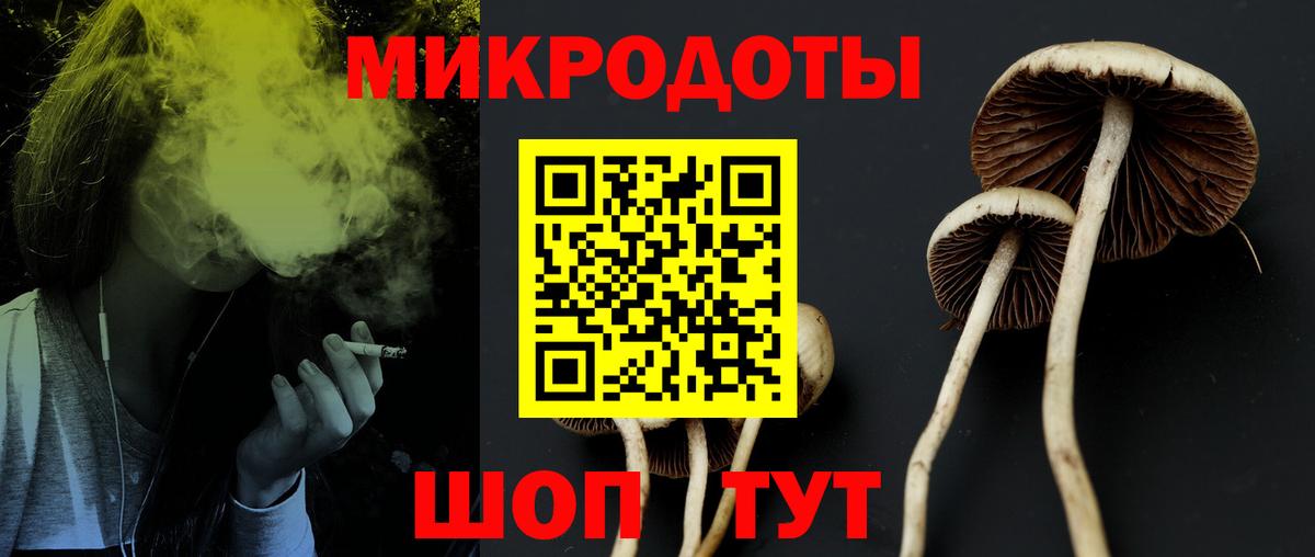 Сегежа  Псилоцибиновые грибы GOLDEN TEACHER  Псилоцибиновые грибы Magic Shrooms  Вход с VPN 